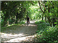 Cycling up Green Lane