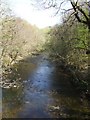 SJ0315 : River Vyrnwy downstream at Pont Llogel by John M