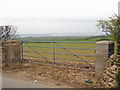 Access to a field on Metcombe Down