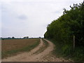 TM3157 : Footpath to the A12 Wickham Market Bypass by Geographer