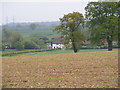 Ivy House Farm Cottages off the A12 Main Road