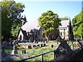 Bluebells at St.Lukes Parish Church