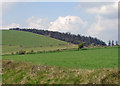 Fields near Penlan-uchaf, Penrydd