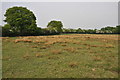 Farmland near Stock Green