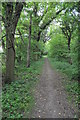 Bridleway to Upper Kite