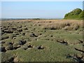 Saltmarsh at Salthouse Point