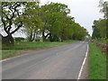 Towthorpe Moor Lane