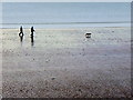 SC2168 : Gansey Beach by David Dixon