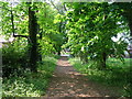 Footpath off Haxby Road, New Earswick