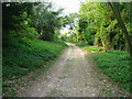 Once the Basingstoke to Alton railway