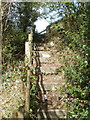 Steps from footpath to Western Terrace, Cwmfelinfach