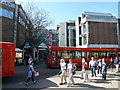 Buses near Westgate