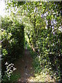 TM3464 : Footpath to the B1119 Low Road by Geographer