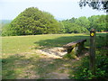 Viewpoint on Holmwood Common