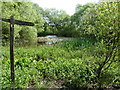 Pond at Stuccles Farm