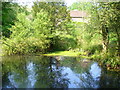 Pond on Holmwood Common