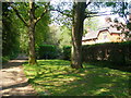 Footpath on Holmwood Common