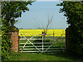 Blankney Fen