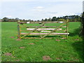 Gate, Besthorpe