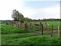 Old livestock pens