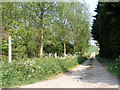 Footpath to Bruisyard Road