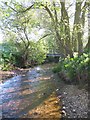 Crossing Cod Beck