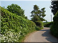 Broad Lane by Stone House Farm