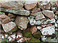 NT9608 : Stone wall, Biddlestone by Stephen Richards