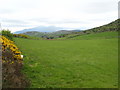 Fields in the col between Slievenisky and Slievenamoney