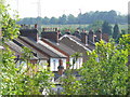 Charlotteville Roofscape