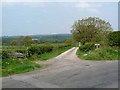 Driveway to Millholme Farm