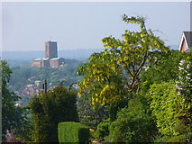 TQ0049 : Guildford Cathedral from Pewley Hill by Colin Smith