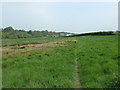 Footpath from Silford Copse heading down to Kitnocks Hill