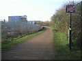 Thames Path near Tripcock Ness