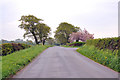 Road junction near Burthwaite