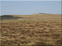 NY7647 : Hesleywell Moor SW of Hard Rigg by Mike Quinn