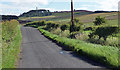 Country road near Cartington (2)