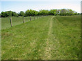 Footpath to Walberswick Common