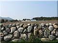 An Ulster "Single" Stone Wall on the Head Road