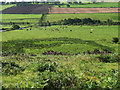 NU0401 : Farmland near Rothbury (1) by Stephen Richards