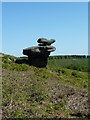 SE2165 : Rock Formation, nr. Brimham Rocks by Paul Buckingham