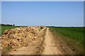 Manure by the footpath