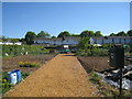 Allotments in Popley