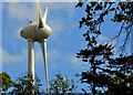 J5079 : Wind turbine, Bangor (1) by Albert Bridge