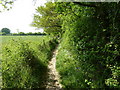 Footpath 59Hu approaching Danworth Lane