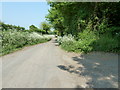 Danworth Lane nearing Danworth Farm