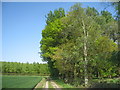 The bridleway to Somerby