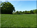 Footpath at the corner of Moat Plantation