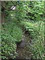 The Beck south of Cresswell Road, BR3