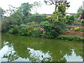 Tiverton : Grand Western Canal